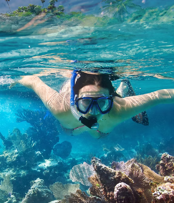 A woman wearing a bikini, mask, and snorkel swimming just beneath the clear blue water above a vibrant coral reef.