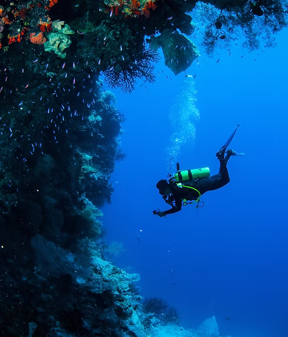 A scuba diver with a yellow tank exploring deep, clear blue waters next to a steep underwater coral wall.