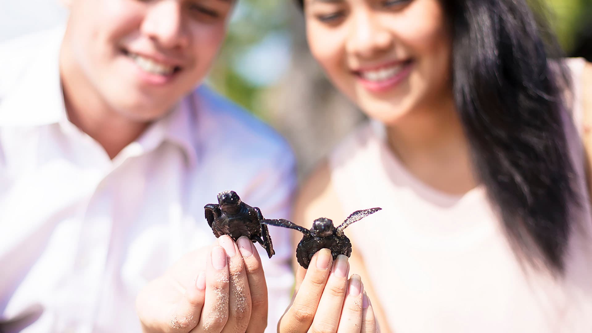 Smiling couple holding tiny sea turtle hatchlings in their hands.