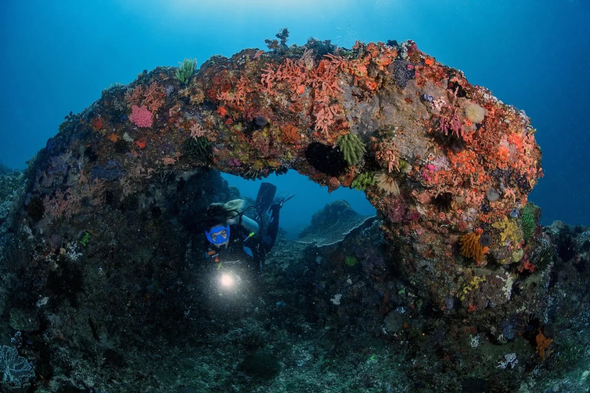 Blue Marlin Dive Lombok