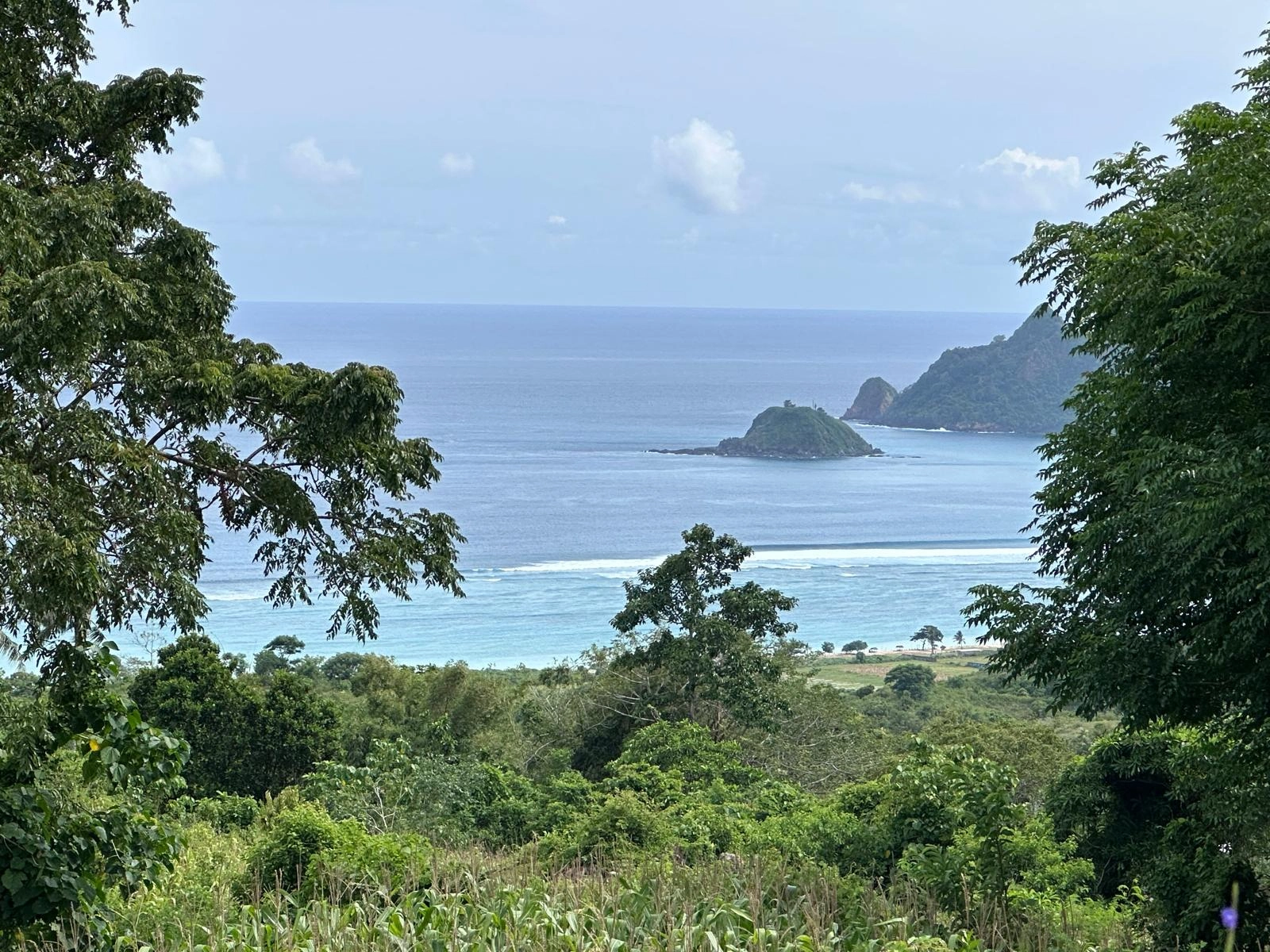 Framed view through lush green trees showing turquoise coastal waters, offshore islands, and a distant headland under a clear sky.