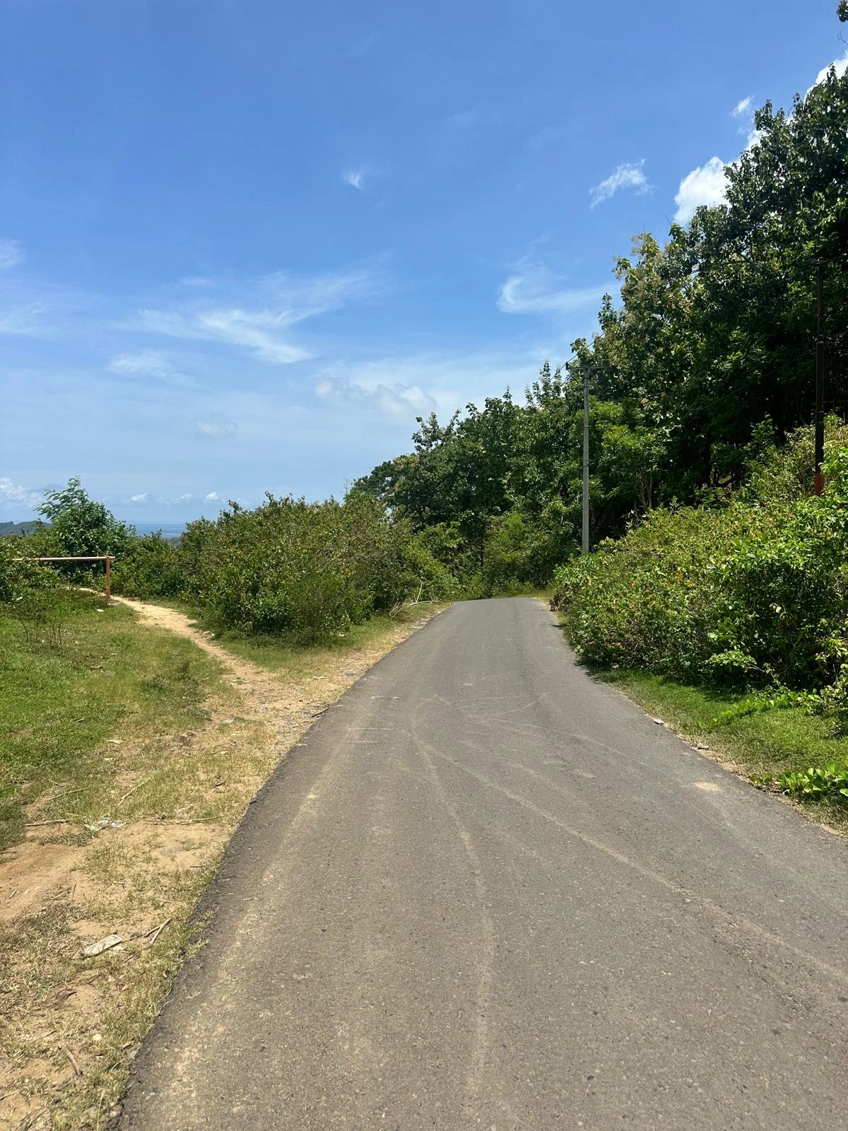 Paved asphalt road curving alongside lush green foliage and leading toward an unpaved side path on the left.