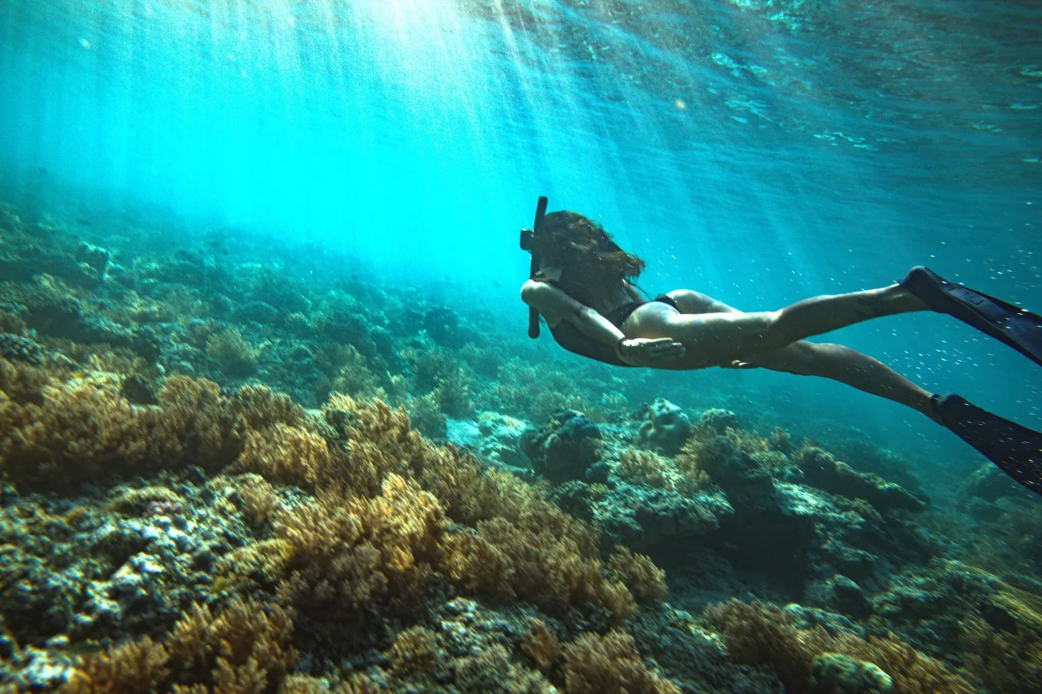 Snorkelling Around Gili Air