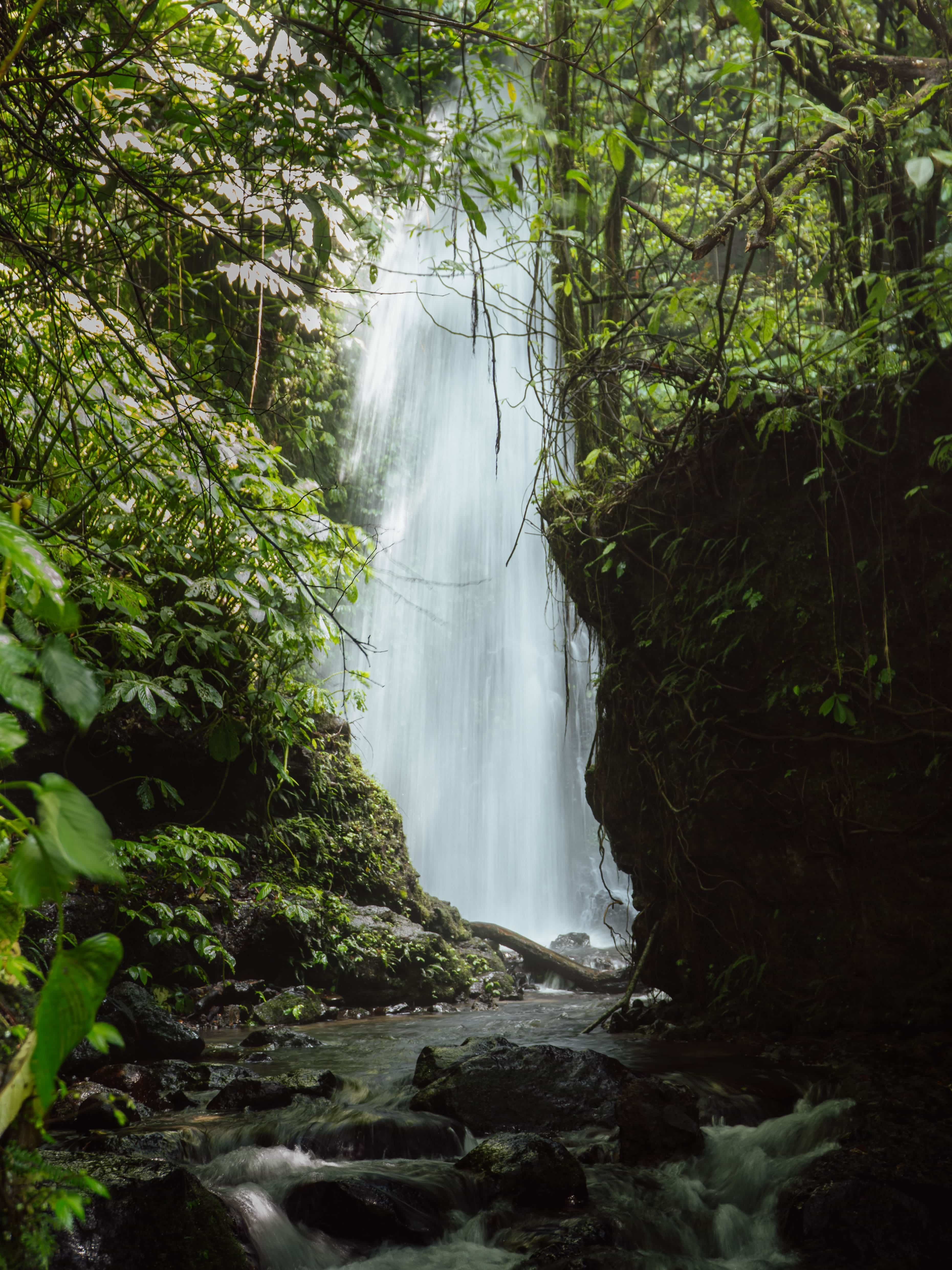 A powerful waterfall framed by a dense jungle opening flows into a rocky stream below.