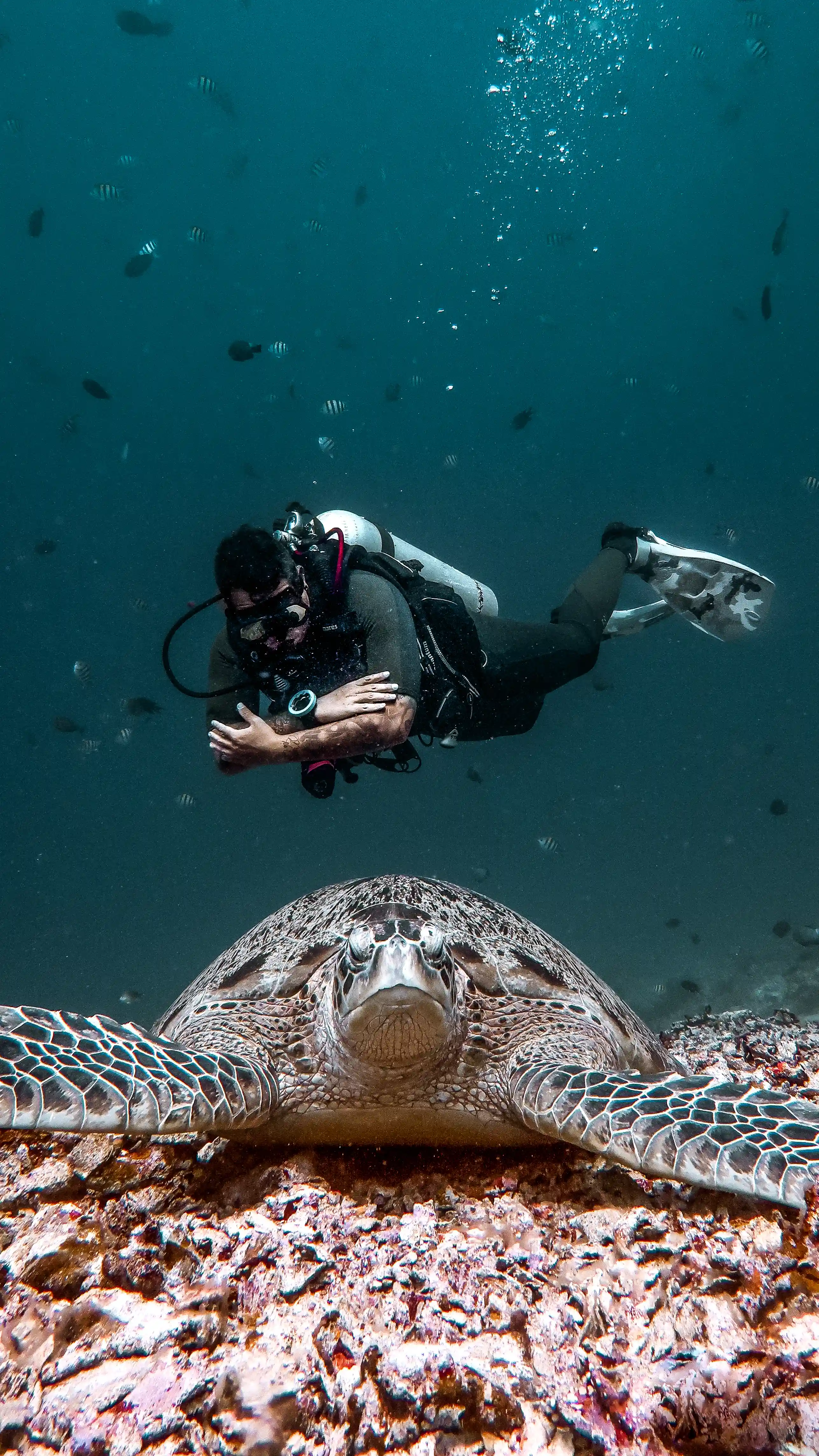 Gili Meno - The quiet side of the Gili Islands