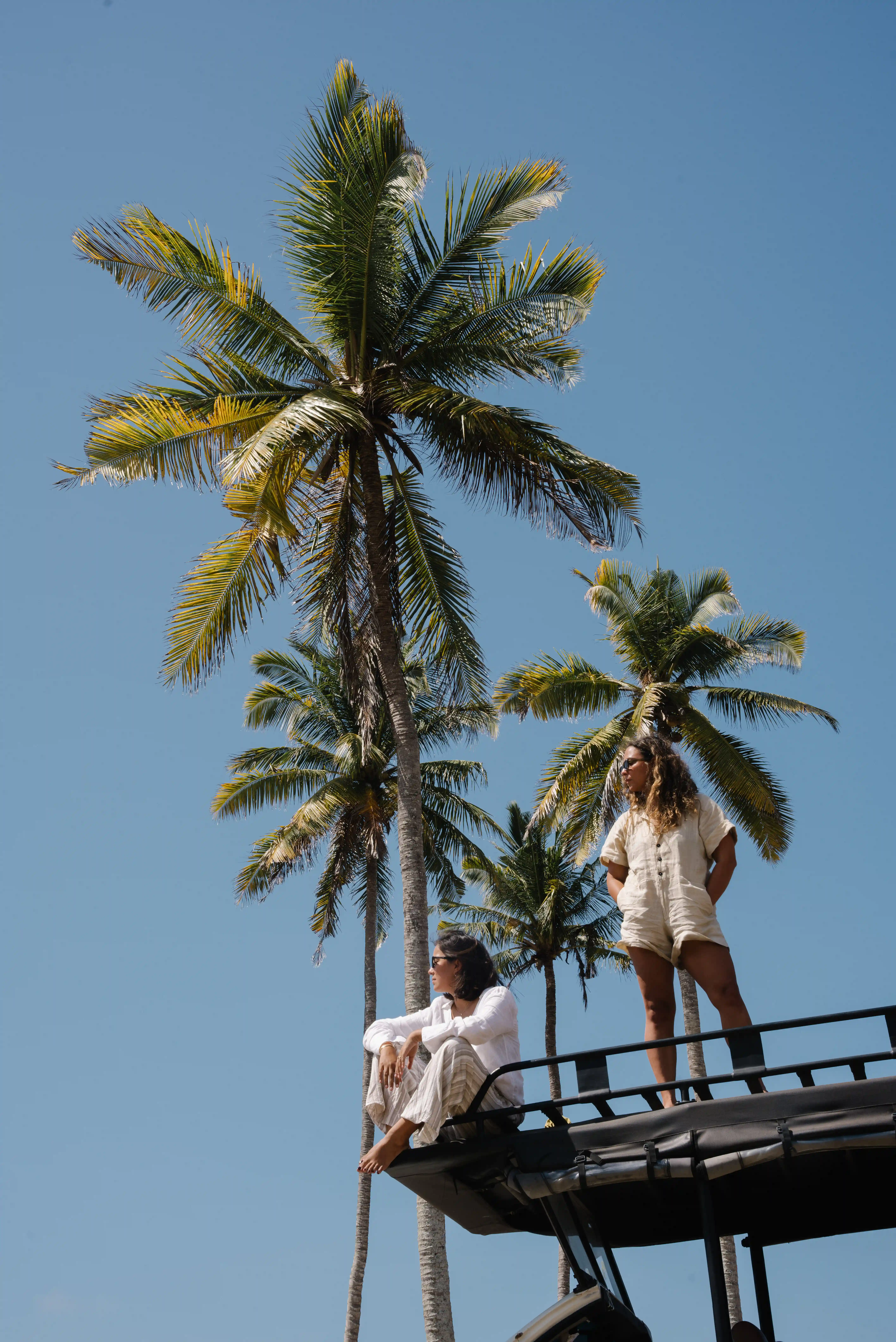 Two women sitting and standing on the roof rack of a safari vehicle framed by tall palm trees.