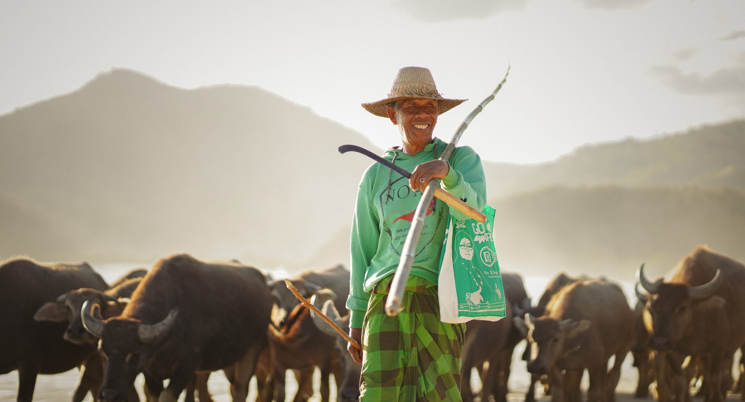 A smiling local farmer holding a stick while herding a flock of water buffaloes on a sandy beach.