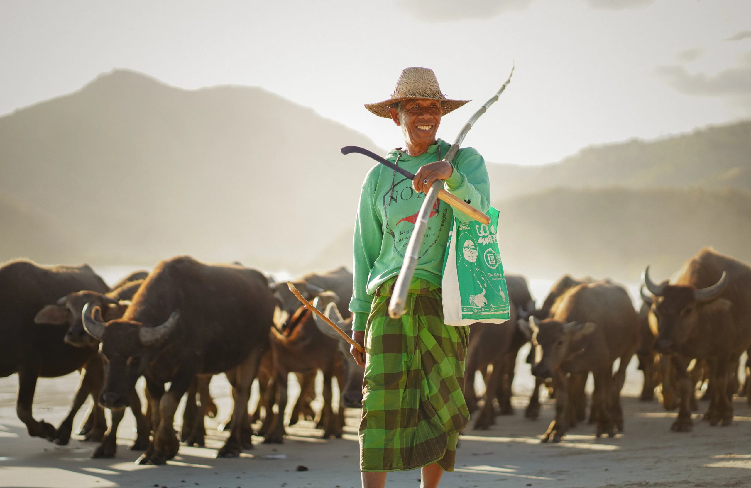 A smiling local farmer holding a stick while herding a flock of water buffaloes on a sandy beach.