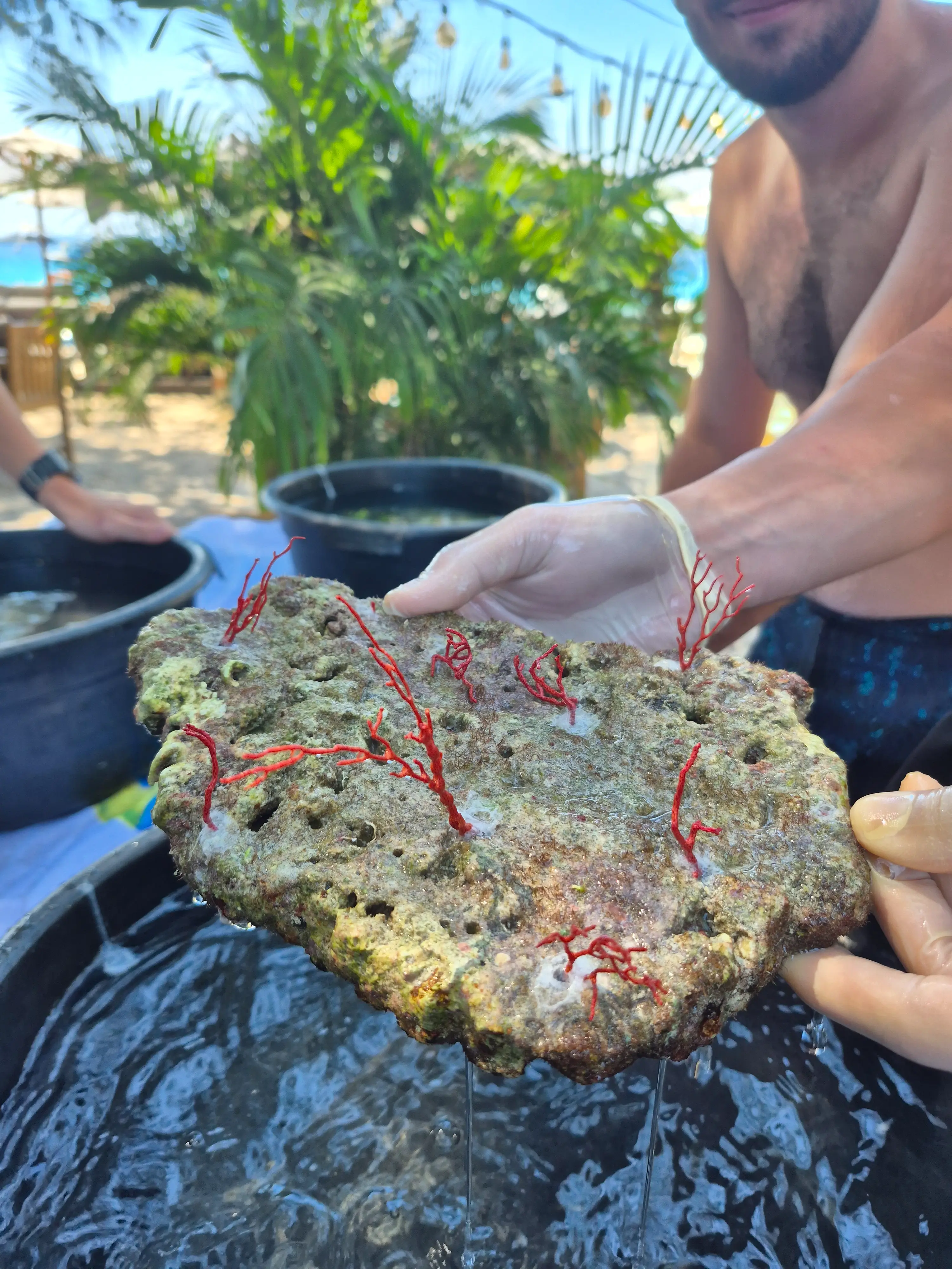 Give Back to the Reef You Love