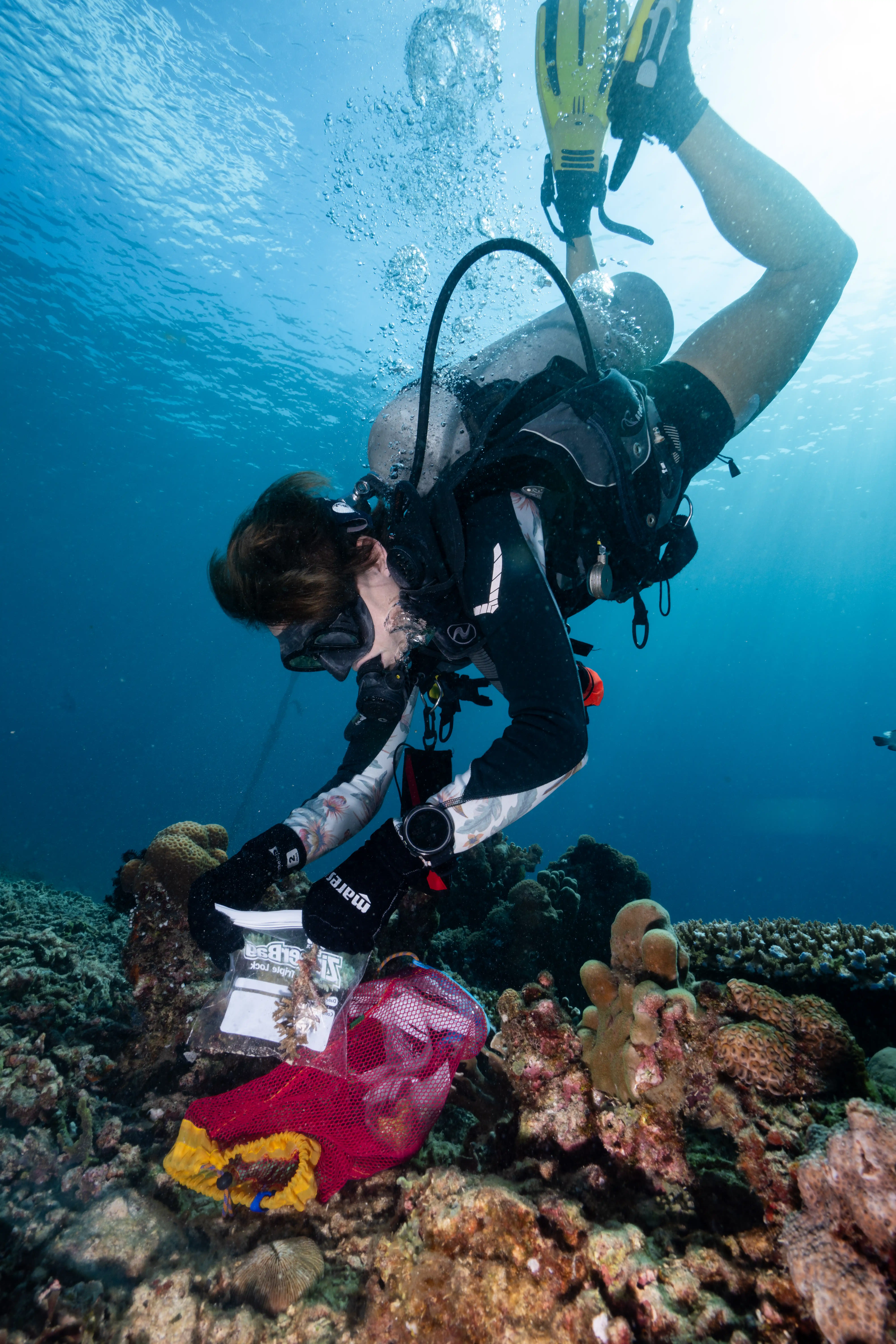 Give Back to the Reef You Love