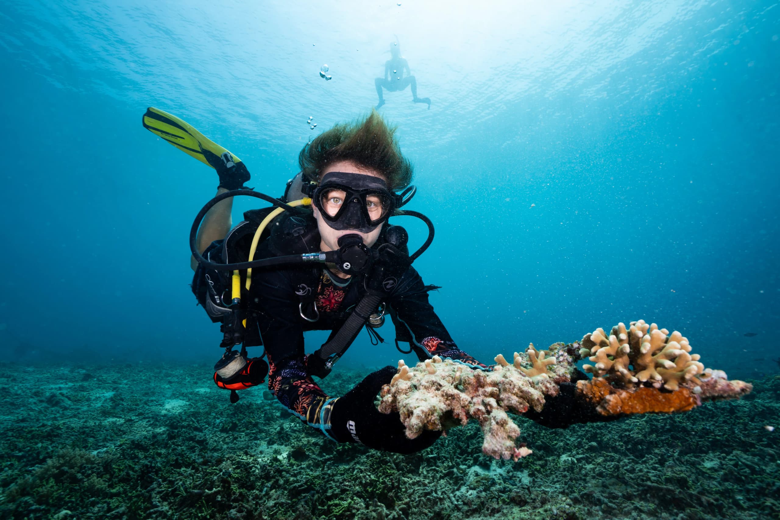 Give Back to the Reef You Love