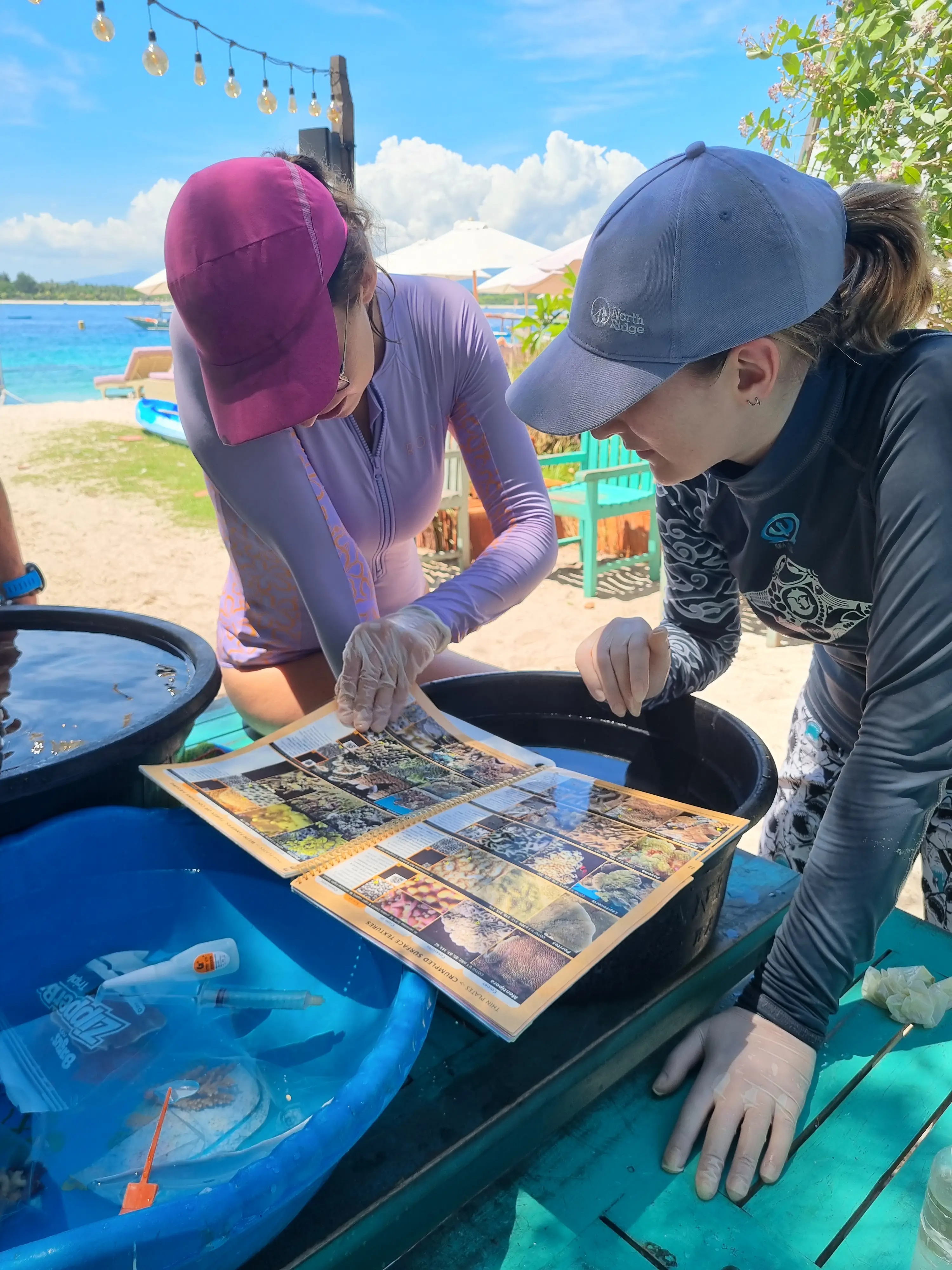 Give Back to the Reef You Love